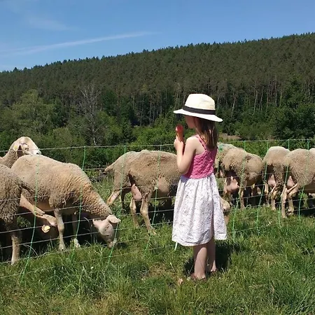 La Tiny House De La Bergerie * Lierneux