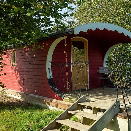 La Tiny House De La Bergerie ファームステイ Lierneux