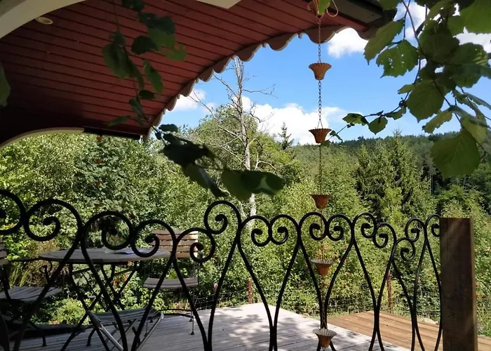 La Tiny House De La Bergerie Vakantieboerderij Lierneux