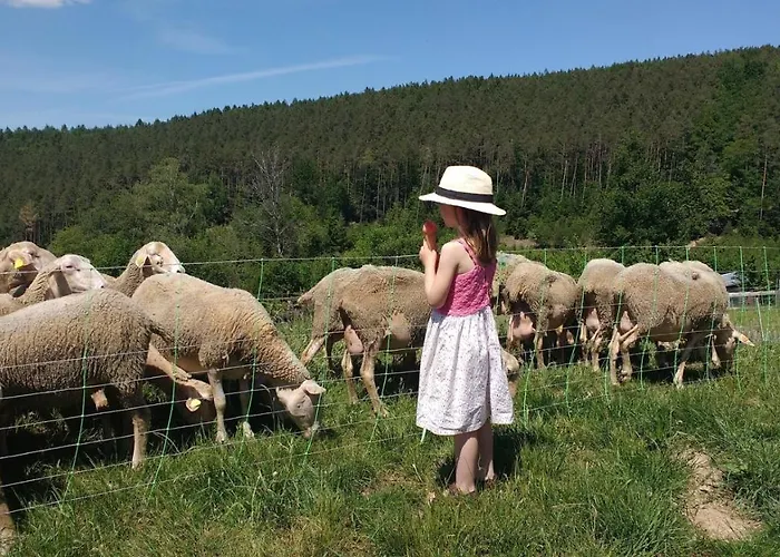 La Tiny House De La Bergerie * Lierneux