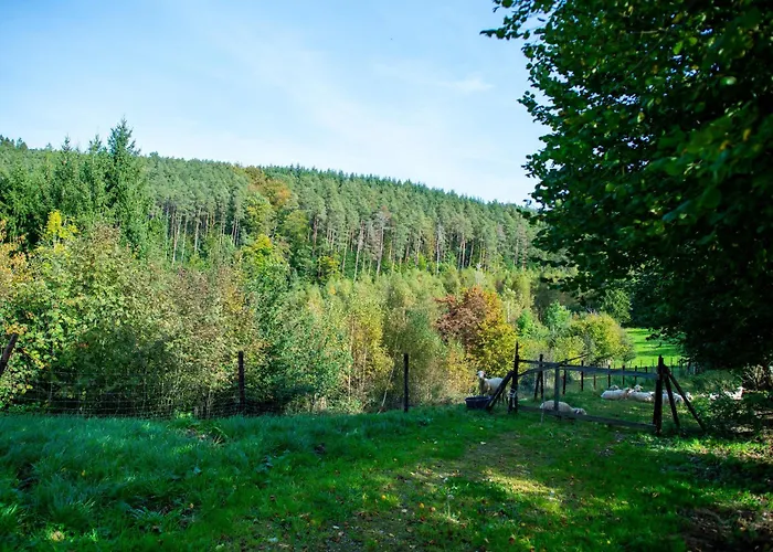 La Tiny House De La Bergerie Alloggio per agriturismo *