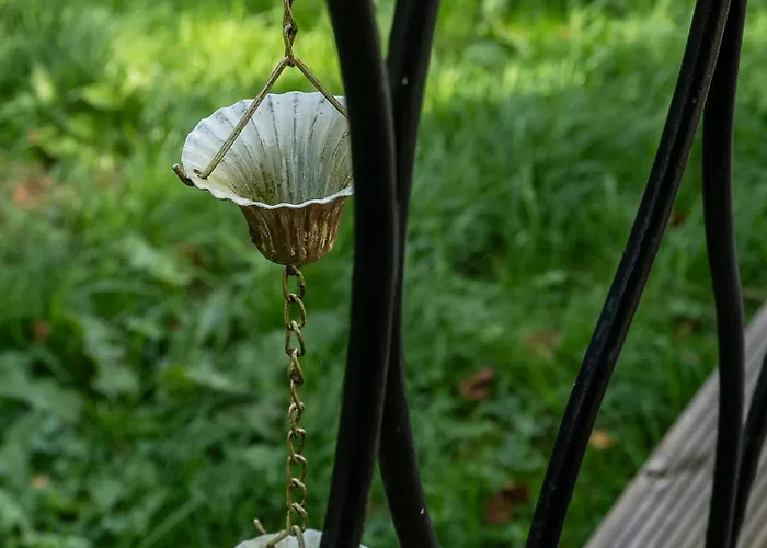 La Tiny House De La Bergerie Alloggio per agriturismo Lierneux